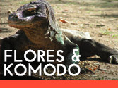 Komodo