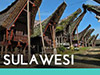 Sulawesi