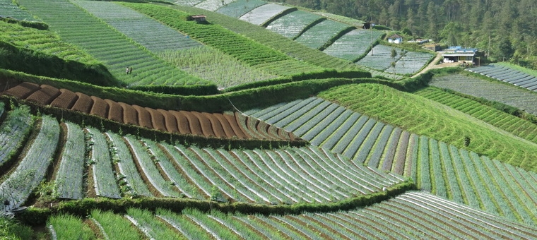 Gunung Lawu