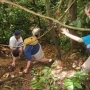 Bukit Lawang 2 dagen trekken