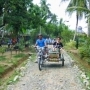 bukit lawang