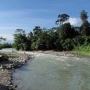 bukit lawang opties