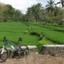 flores fietstour